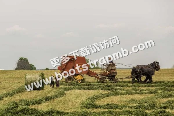 ⊞ Portfolio - 乐竟体育yiruisheng